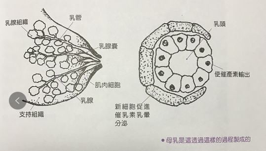 微信图片_20190603161406.png